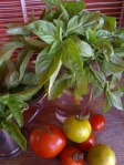 Basil & Tomatoes